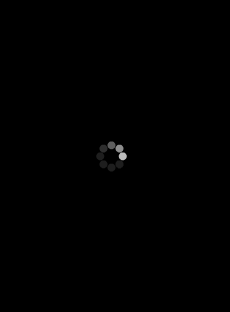 nichts1.gif